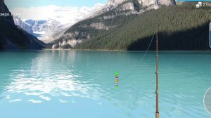 MY FISHING WORLD/БЕЛЫЙ АМУР/БЕЗ прилова