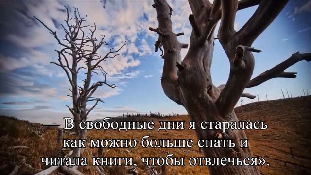 Сара Коннор в 63 выглядит на 20 лет моложе — Статья смотреть онлайн