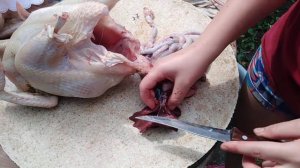 Как потрошить тушку бройлера.