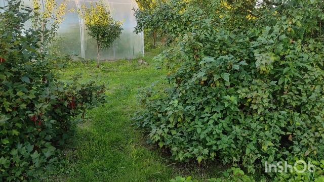 Деревенская жизнь/Огурцы на зиму "Шантане" Супер ароматные/Копаю картошку/ Отпуск закончился ? смотреть онлайн