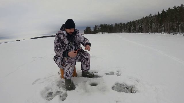 Рыбалка в Карелии на любимом Онежском озере.. Сезон 2023. Хорошая плотва. смотреть онлайн