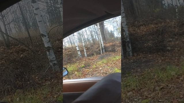 padající stropnice- ŘEŠENÍ DO 3 MINUT!! ŽÁDNÁ DEMONTÁŽ!!! смотреть онлайн