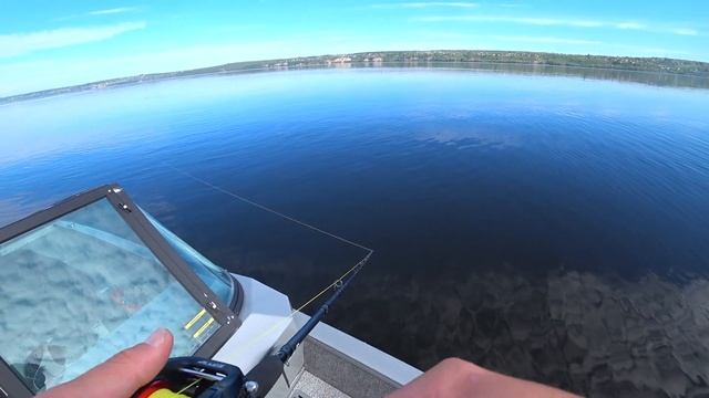 Как ловить ЩУКУ на BigBaits ? смотреть онлайн