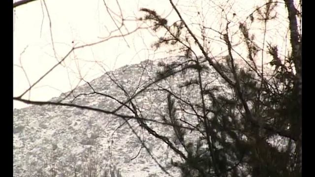 Поиски мужчины, пропавшего на Борусе временно приостановлены смотреть онлайн