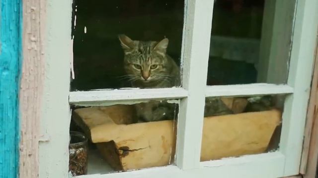 ДЕНЬ РОЖДЕНИЯ В ДЕРЕВНЕ смотреть онлайн