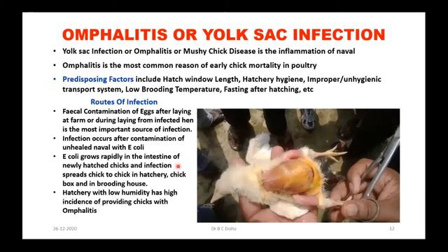 E coli or Colibacillosis TREATMENT & CONTROL in Poultry - Webinar to VetNepal (Vets of Nepal) смотреть онлайн
