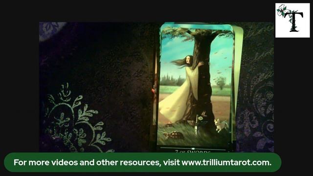 Livestream 11-15-2022 (Timestamped) смотреть онлайн