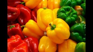 Урожайные и ранние сорта перца для теплиц в Подмосковье