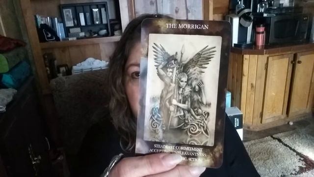 Unboxing and First Impression The Lost Forest Tarot and Woven Wisdom Oracle смотреть онлайн