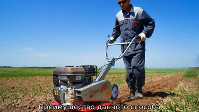 Аэратор для газона: описание, модели