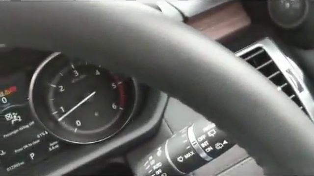 Жираф не стал ждать когда опустят стекло / жираф разбил боковое окно в автомобиле смотреть онлайн