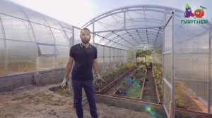 ОЧЕНЬ КРЕПКАЯ ТЕПЛИЦА!