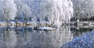 Футаж зима в лесу Потрясающе красивый зимний футаж HD.mp4