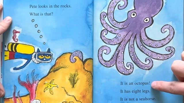 Ash reads Pete the Cat Scuba-Cat by James Dean смотреть онлайн