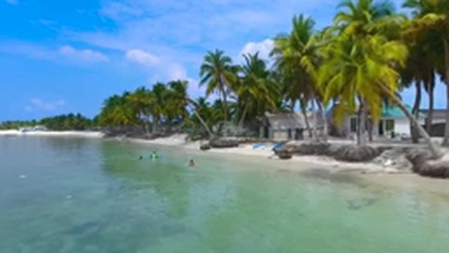 Tropical Music For Relax , Sleep And Meditation | Тропическая музыка для релаксации, сна и медитаци