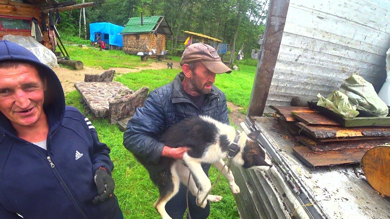 Часть заключительная. Выезд. смотреть онлайн