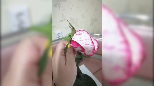 Женщине продали некачественный букет смотреть онлайн