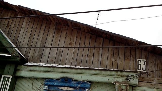 кто то ночью свалили деревья .mp4