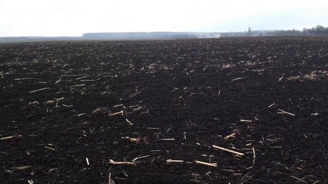 Внесення мінерального добрива під соняшник