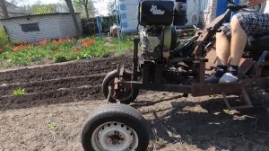 Посадка картофеля самодельным минитрактором под окучники. Как быстро посадить картошку!?