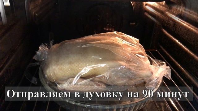 Вегетарианские Кафе и Рестораны