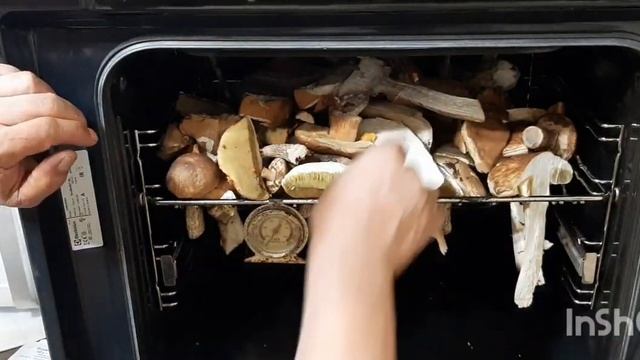 Грибы перерабатываем