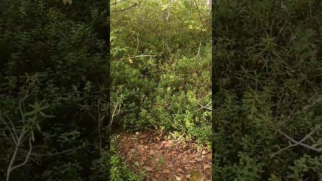 Рыбалка отдых в Карелии смотреть онлайн