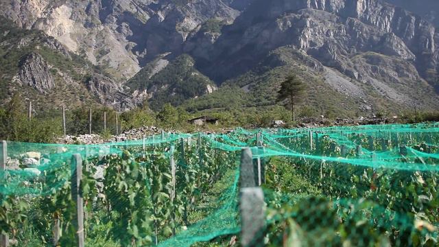 Vignes Solidart - Saint Julien Montdenis смотреть онлайн
