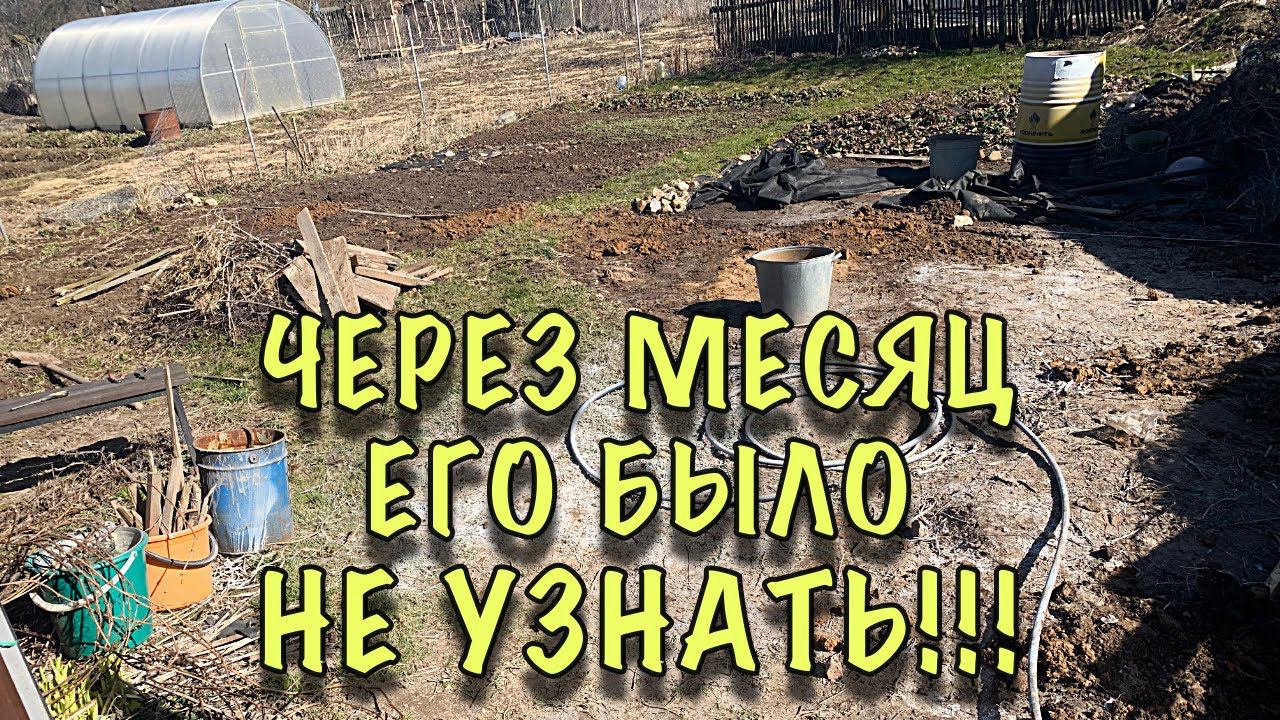 ЕВРОПЕЙСКИЙ огород СВОИМИ РУКАМИ! Все СОСЕДИ теперь ХОТЯТ ТАК ЖЕ! ДО и ПОСЛЕ #shorts смотреть онлайн