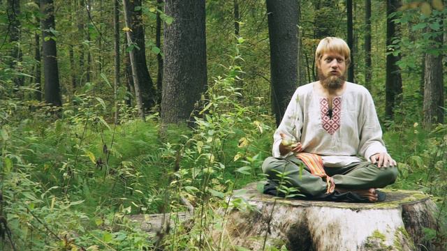 Старт проекта Ошмесо Шаер смотреть онлайн