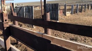 Обзор раскола для КРС