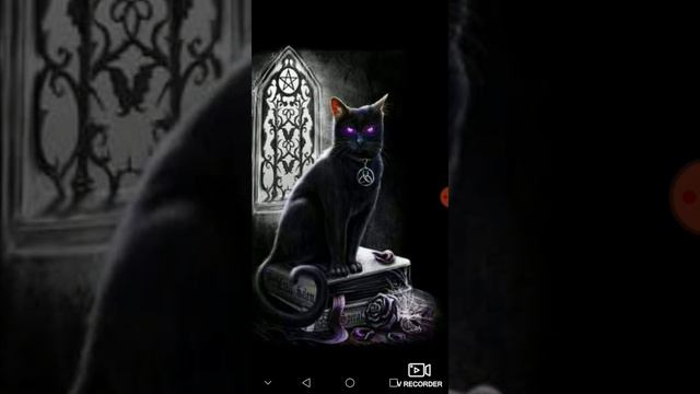 Очень прошу пояснять в комментариях, за что дизлайки и что нужно исправить. смотреть онлайн