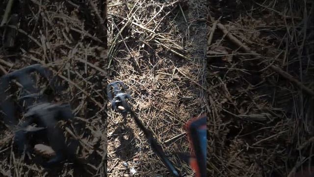 quest x5 metaldetector.... смотреть онлайн