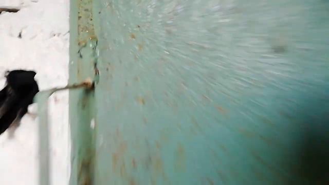 Зимовка пчёл. зимы пока нет. Новый канал на Яндекс Дзен. смотреть онлайн