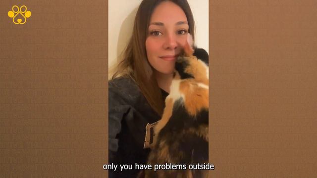Cat and Mouse Shenanigans - Laugh Out Loud Funny Moments 😂 смотреть онлайн