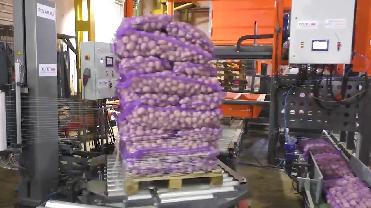 ПАЛ-10. смотреть онлайн