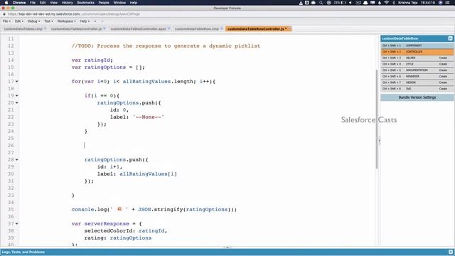 Custom Data Table with Picklist fields - Part 4 | Preview смотреть онлайн