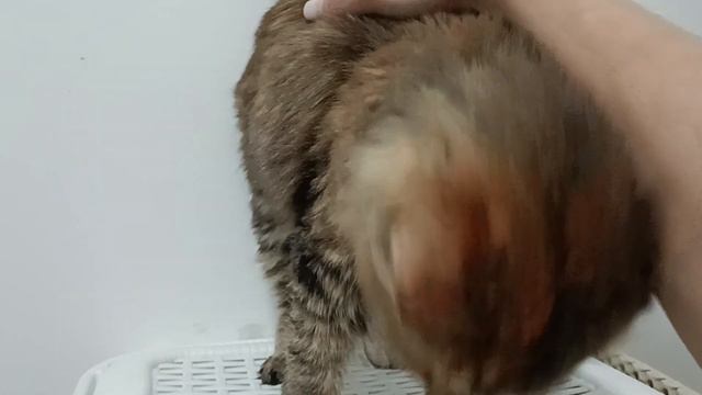 ❤️ Красота правит миром ❤️ смотреть онлайн