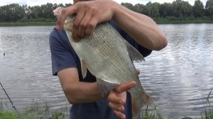 Прикормил ЛЕЩА к нашему столу! Рыбалка на Оке! Ловля на Донки/сало на леща.