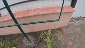 Каркас для винограда своими рукам