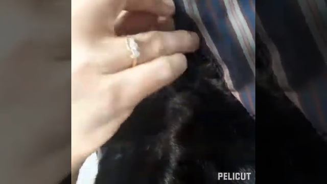 заменить подклад в норковой шубе смотреть онлайн