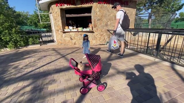 У кошки Лёли больная лапка, Ангелина в коляске катает ее по Тайгану! смотреть онлайн