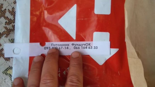 ФУНДУК БИРКИ ДЛЯ САЖЕНЦЕВ / КАК ПОДПИСЫВАЮ САЖЕНЦЫ ФУНДУКА смотреть онлайн