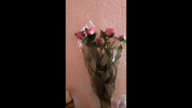 //Мои любимые цветы .Как мы купаем Милану// смотреть онлайн