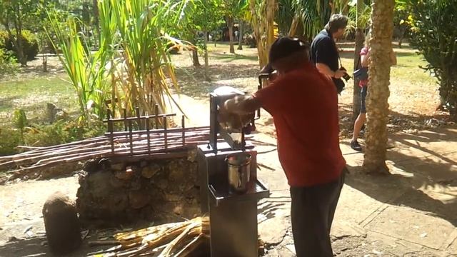 Отжим тростника смотреть онлайн