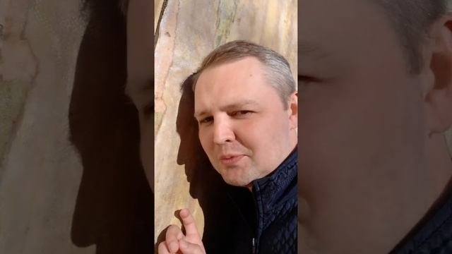 Музей Анны Ахматовой смотреть онлайн