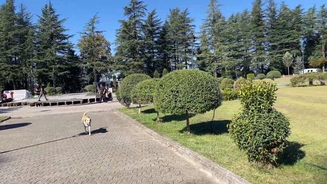 ПРОДОЛЖЕНИЕ - 24 ЧАСА в Грузинской деревне - путешествие по Грузии, Верхняя Сванетия смотреть онлайн
