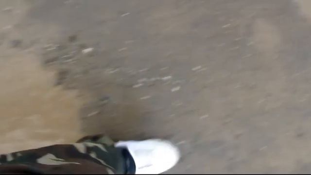 ЛИМФ   Любите ЖИТЬ!!!