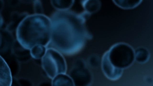 Las CARACTERÍSTICAS DE LOS SERES VIVOS y diferencias con seres inertes (Con ejemplos)? смотреть онлайн