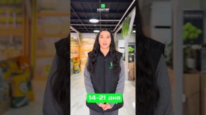 Виды глифосат содержащих гербицидов